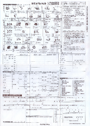 軽 指定整備記録簿別表6