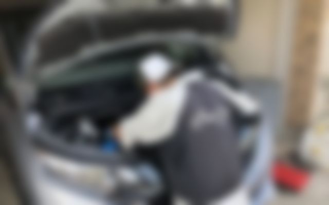 導入先のようす