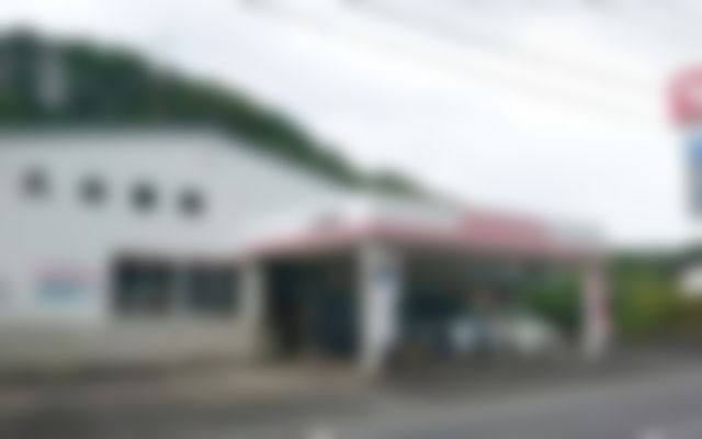 導入先のようす