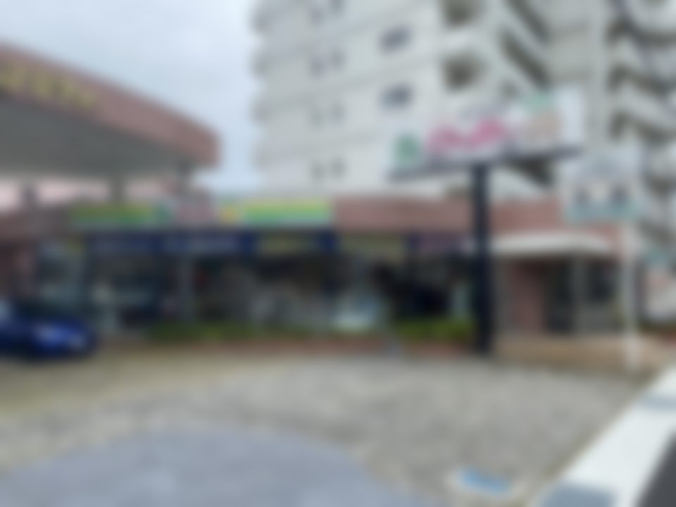 導入先のようす