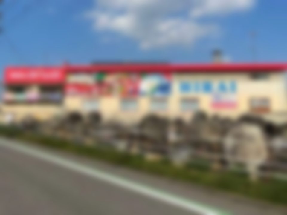 導入先のようす
